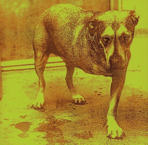 Alice in Chains, Alice in Chains, album cover, 1995